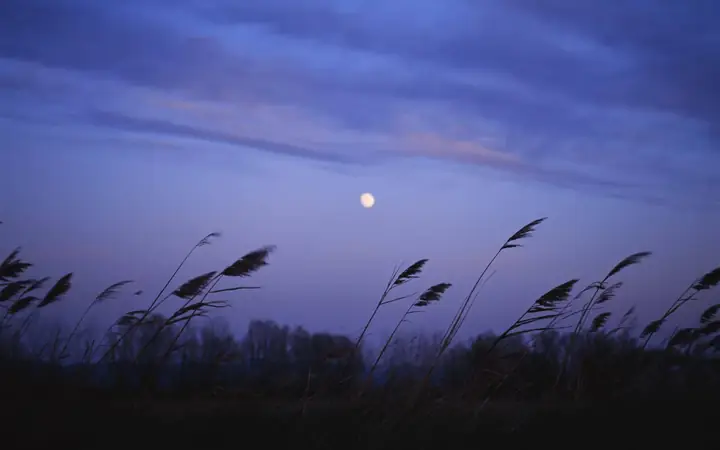 Giải Mã Giấc Mơ Thấy Gió Thổi Bay Nóc Nhà: Điềm Báo Gì Và Con Số May Mắn?