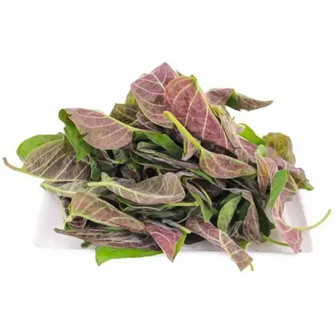 Giải Mã Giấc Mơ Thấy Giun Sán Trong Người Chui Ra: Điềm Báo Hay Lời Cảnh Tỉnh?