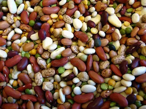 Giải Mã Giấc Mơ Thấy Hạt Đậu: Điềm Báo Gì Và Những Con Số May Mắn Bạn Không Thể Bỏ Lỡ