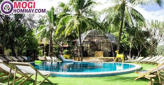 Giải Mã Giấc Mơ Thấy Hồ Bơi: Điềm Báo Gì Và Các Con Số May Mắn