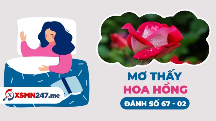 Mơ Thấy Hoa Hồng Đỏ Đánh Con Gì? Giải Mã Chi Tiết Điềm Báo & Con Số May Mắn