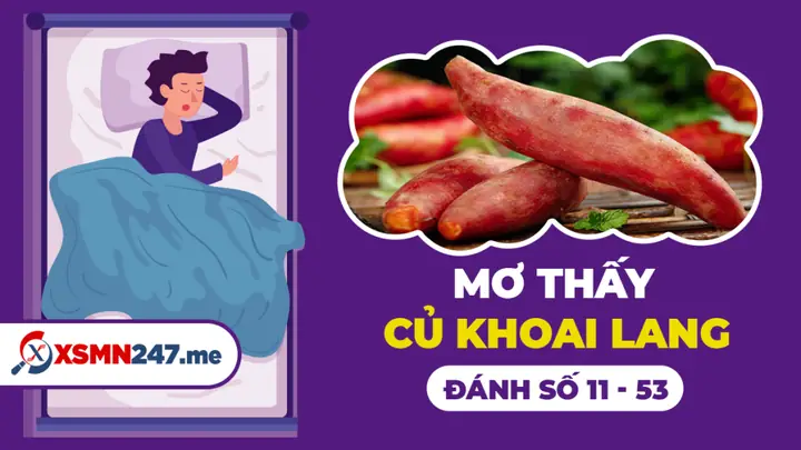 Mơ Thấy Khoai Lang Luộc Đánh Con Gì? Giải Mã Ý Nghĩa Và Con Số May Mắn