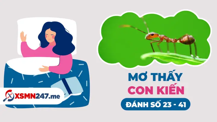 Mơ Thấy Kiến Đỏ Đánh Con Gì? Giải Mã Bí Ẩn Và Con Số May Mắn
