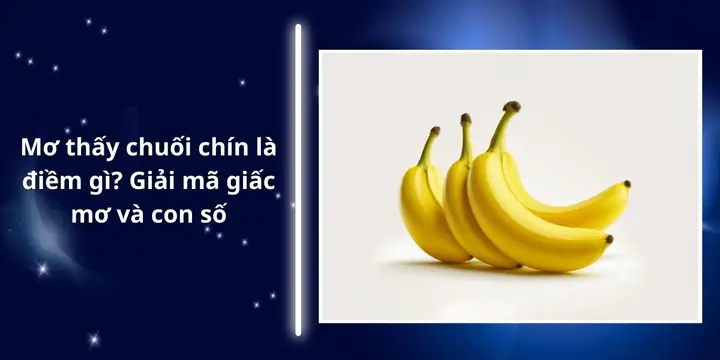 Giải Mã Giấc Mơ Thấy Làm Nhà Gỗ: Điềm Báo Gì Và Các Con Số May Mắn Liên Quan