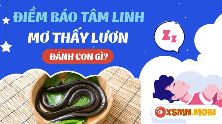 Giải Mã Giấc Mơ Thấy Lươn Vàng: Điềm Báo Gì Và Con Số May Mắn Liên Quan