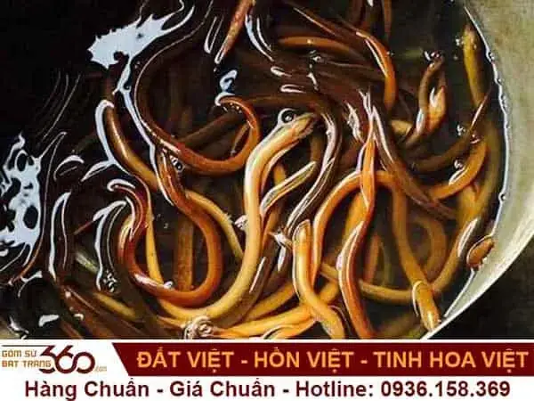 Giải Mã Giấc Mơ Thấy Lươn Vàng: Điềm Báo Gì Và Con Số May Mắn Liên Quan