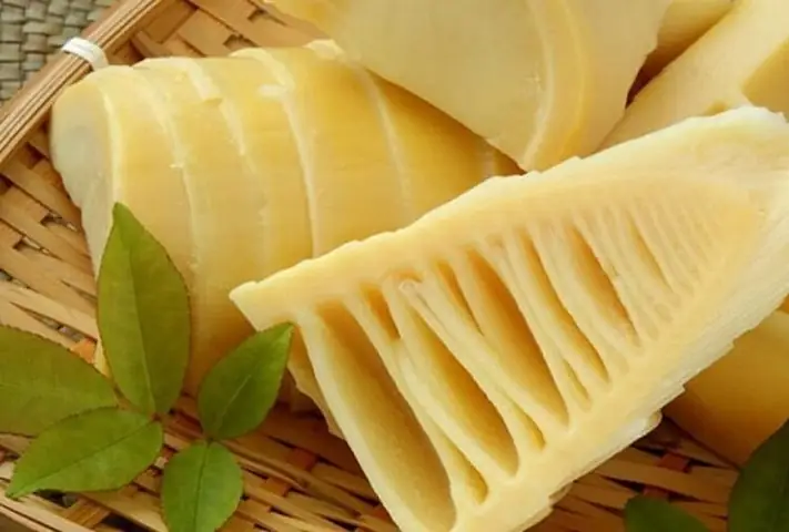 Giải Mã Giấc Mơ Thấy Măng Tre: Điềm Báo Gì Và Con Số May Mắn Tiềm Ẩn