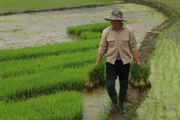 Giải Mã Giấc Mơ Thấy Mình Tắm Trước Mặt Người Khác: Ý Nghĩa Tâm Linh Và Những Con Số May Mắn