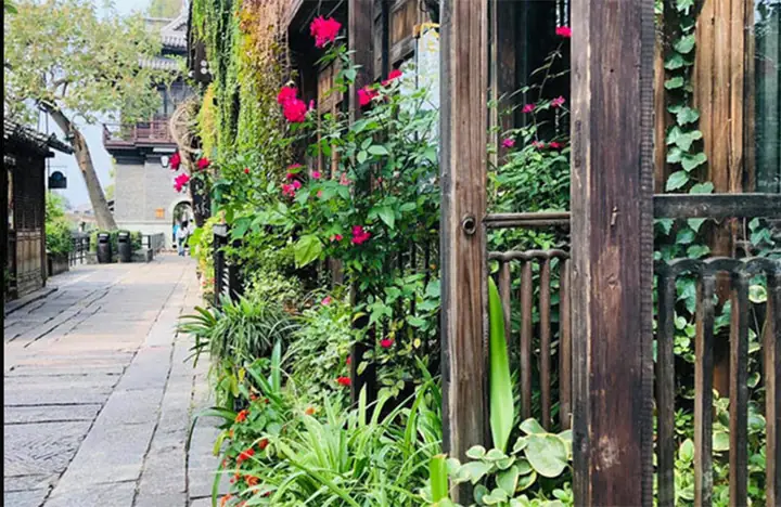 Giải Mã Ý Nghĩa Giấc Mơ Thấy Mình Từ Sướng Và Con Số May Mắn Đi Kèm