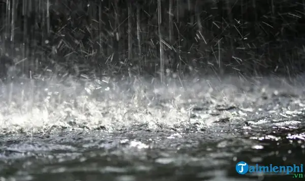Giải Mã Giấc Mơ Thấy Mưa To Gió Lớn: Điềm Báo Gì Và Những Con Số May Mắn