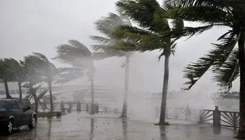 Giải Mã Giấc Mơ Thấy Mưa To Gió Lớn: Điềm Báo Gì Và Những Con Số May Mắn