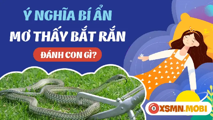 Mơ Thấy Người Khác Bắt Được Rắn Đánh Con Gì? Giải Mã Chi Tiết Và Con Số May Mắn