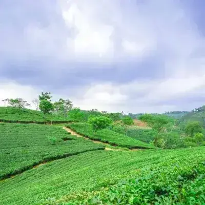 Giải Mã Giấc Mơ Thấy Người Khác Rơi Xuống Nước: Điềm Báo Và Ý Nghĩa Tâm Linh