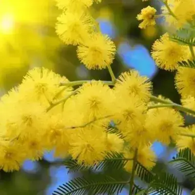 Giải Mã Giấc Mơ Thấy Người Khác Rơi Xuống Nước: Điềm Báo Và Ý Nghĩa Tâm Linh