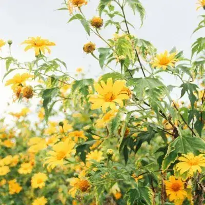 Giải Mã Giấc Mơ Thấy Người Khác Rơi Xuống Nước: Điềm Báo Và Ý Nghĩa Tâm Linh