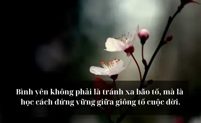 Giải Mã Giấc Mơ Thấy Người Thân Đang Sống Mà Chết: Điềm Báo Hay Tín Hiệu Từ Tâm Trí?