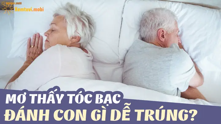Giải Mã Giấc Mơ Thấy Nhổ Tóc Bạc: Điềm Báo Gì Và Con Số May Mắn