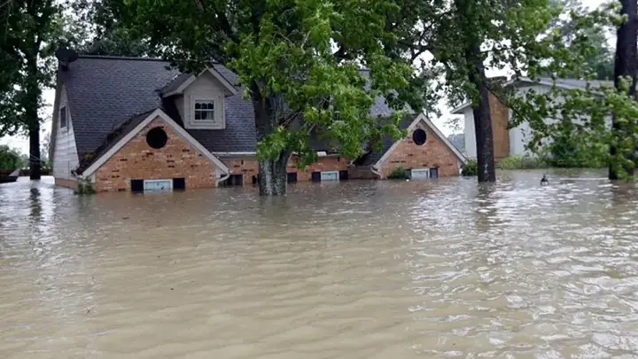 Giải Mã Chi Tiết Ý Nghĩa Giấc Mơ Thấy Nước Lũ Và Các Điềm Báo Đặc Biệt