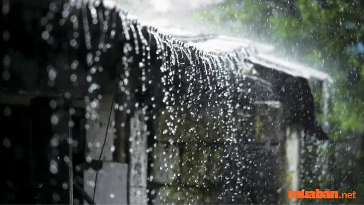 Giải Mã Giấc Mơ Thấy Nước Mưa Chảy Vào Nhà: Điềm Tốt Hay Xấu? Con Số May Mắn Nào?