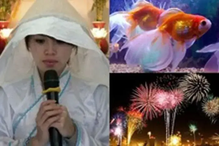 Mơ Thấy Pháo Hoa: Giải Mã Ý Nghĩa Tâm Linh, Tâm Lý & Con Số May Mắn