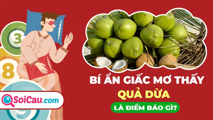 Giải Mã Giấc Mơ Thấy Quả Dừa Khô: Đánh Con Gì Và Ý Nghĩa Đằng Sau