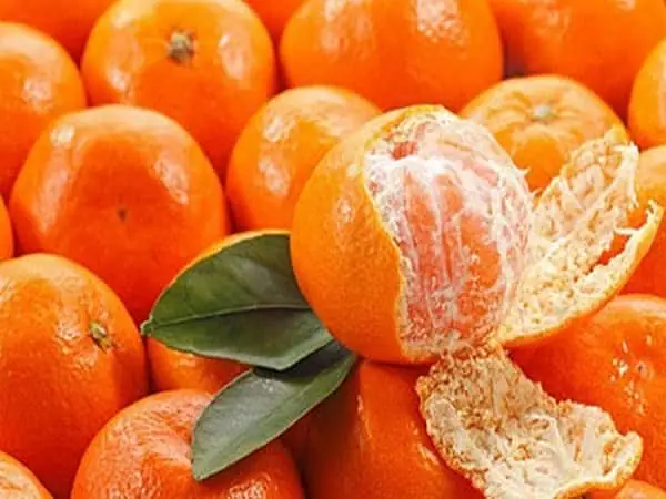 Giải Mã Giấc Mơ Thấy Quả Quýt: Ý Nghĩa Đằng Sau Và Các Con Số May Mắn