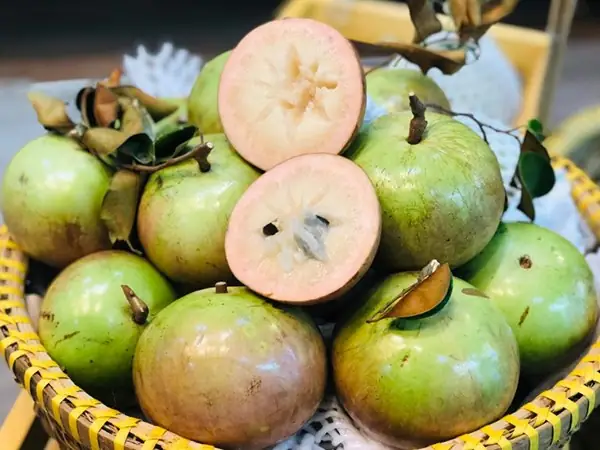 Giải Mã Giấc Mơ Thấy Quả Vú Sữa: Điềm Báo Gì Và Những Con Số May Mắn?