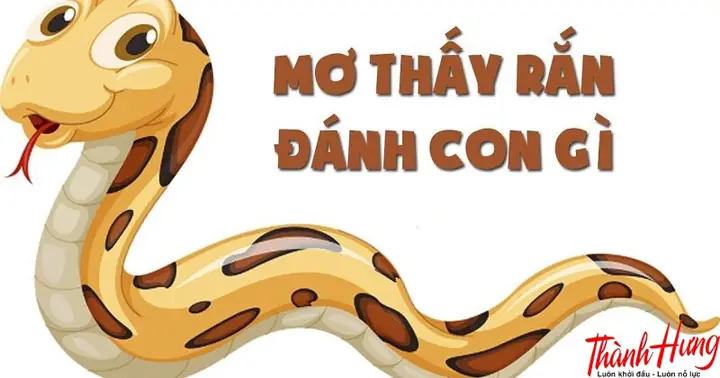 Mơ Thấy Rắn Dấu Đỏ Đánh Con Gì? Giải Mã Giấc Mơ Và Con Số May Mắn