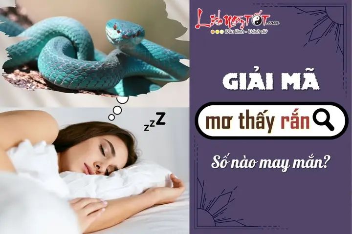 Giải Mã Chi Tiết Ý Nghĩa Khi Nằm Mơ Thấy Rắn: Điềm Báo Gì & Con Số May Mắn