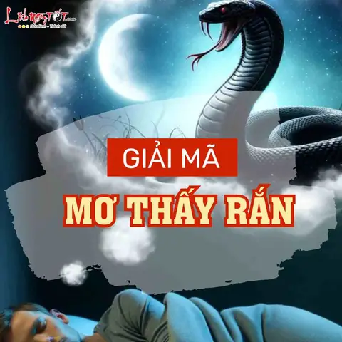 Giải Mã Chi Tiết Ý Nghĩa Khi Nằm Mơ Thấy Rắn: Điềm Báo Gì & Con Số May Mắn