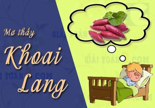 Giải Mã Giấc Mơ Thấy Rau Khoai Lang Và Các Con Số May Mắn Liên Quan