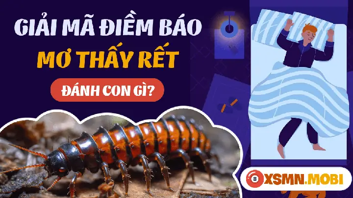 Mơ Thấy Rết Bò Lên Người Đánh Con Gì? Giải Mã Chi Tiết Ý Nghĩa Đằng Sau