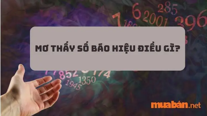 Mơ Thấy Số 38 Đánh Con Gì? Giải Mã Bí Ẩn Giấc Mơ Và Con Số May Mắn
