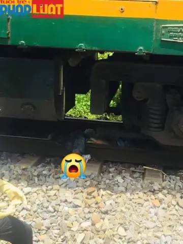 Giải Mã Giấc Mơ Thấy Tàu Hỏa Đâm Chết Người: Chi Tiết Ý Nghĩa Và Điềm Báo