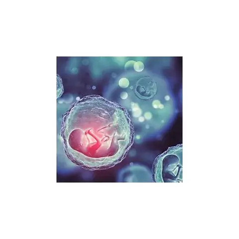 Giải Mã Giấc Mơ Thấy Thai Nhi Chết: Điềm Báo Tâm Linh Và Những Con Số May Mắn