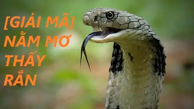 Giải Mã Giấc Mơ Thấy Thần Thánh: Ý Nghĩa Tâm Linh & Con Số May Mắn