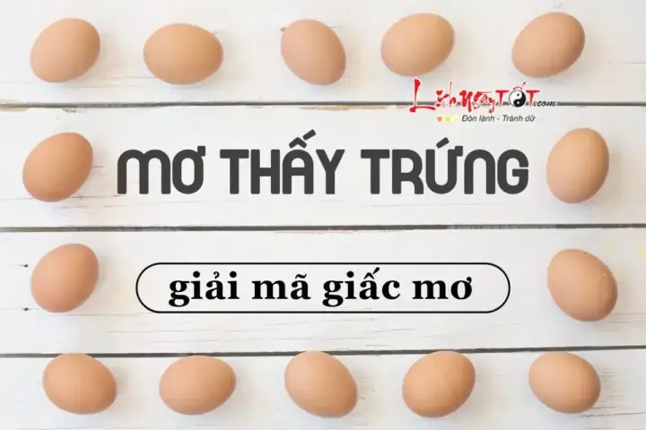 Giải Mã Giấc Mơ Thấy Trứng Gà Nở Thành Con: Điềm Báo Và Con Số May Mắn