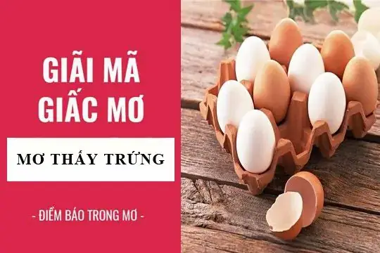 Giải Mã Giấc Mơ Thấy Trứng Gà Nở Thành Con: Điềm Báo Và Con Số May Mắn
