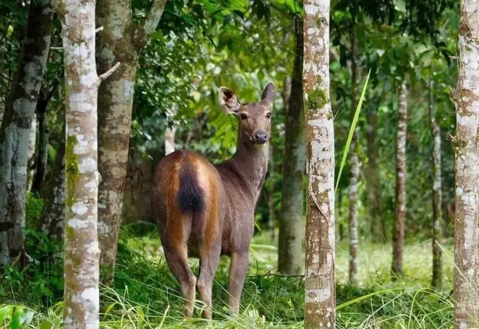 Giải Mã Giấc Mơ Thấy Vắt Cắn: Điềm Báo Và Các Con Số May Mắn