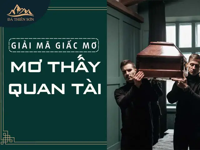 Giải Mã Giấc Mơ Thấy Xác Chết Trong Quan Tài: Ý Nghĩa Tâm Linh & Khoa Học
