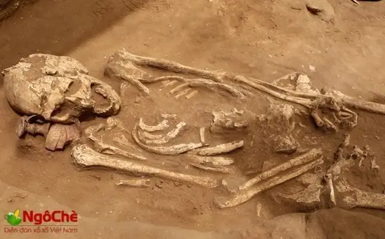 Mơ Thấy Xương Cốt Đánh Đề Con Gì? Giải Mã Bí Ẩn Và Con Số May Mắn