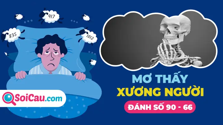 Mơ Thấy Xương Cốt Đánh Đề Con Gì? Giải Mã Bí Ẩn Và Con Số May Mắn