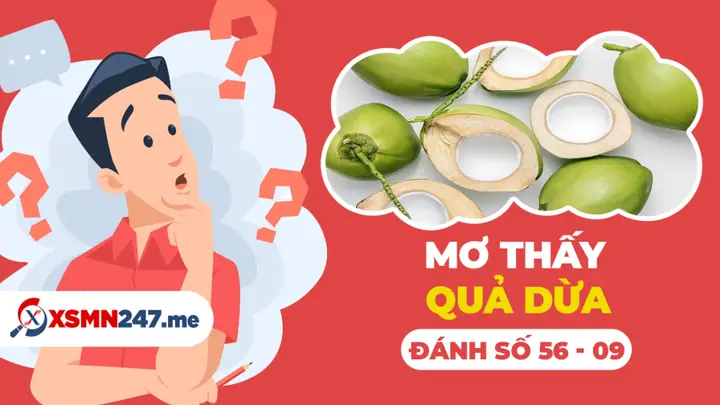 Mơ Uống Nước Dừa Đánh Con Gì? Giải Mã Chi Tiết Ý Nghĩa Giấc Mơ Từ Tâm Linh Đến Khoa Học