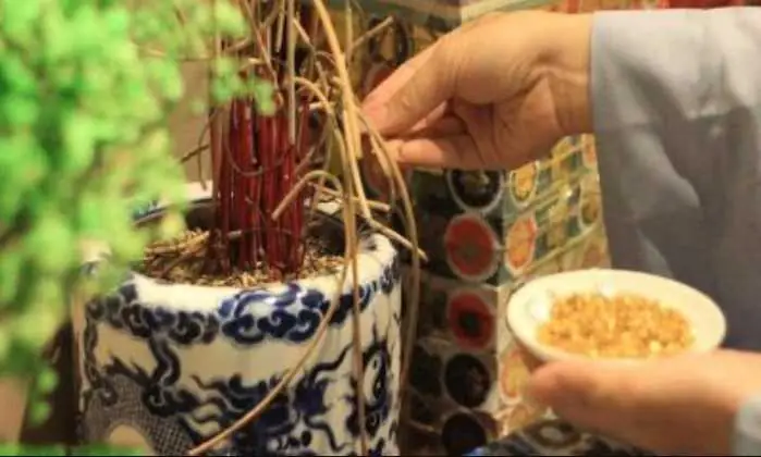 Thờ Cúng Người Chết Trẻ Trong Nhà Cần Biết Những Gì? – Mộc Gia ...