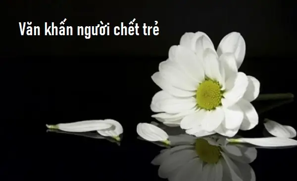Văn Khấn Người Chết Trẻ Và Cách Thờ Cúng Người Chết Trẻ
