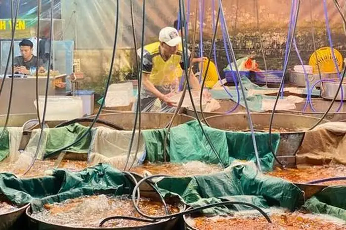 Chợ Cá Chép Cúng Ông Táo Tại Tp Hcm Đêm Khuya Nhộn Nhịp - Báo ...