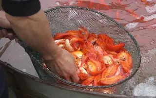 Cẩm Nang Chuẩn Bị Mâm Cúng Ngày Mùng 1 Tháng 7 Âm Lịch: Gợi Ý Chi Tiết Và Ý Nghĩa Tâm Linh