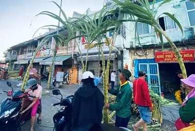 Độc Đáo Chợ Mía Vàng Cúng “vía” Ngọc Hoàng Ở Tp Hồ Chí Minh