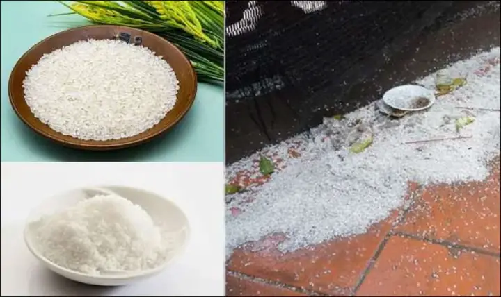 Cẩm Nang Toàn Tập Về Ý Nghĩa Và Cách Xử Lý Muối Gạo Cúng Thần Tài Sau Khi Lễ