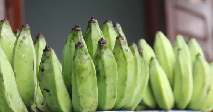 Nải Chuối Cúng Mốc: Nguyên Nhân, Dấu Hiệu Nhận Biết Và Cách Xử Lý Đúng